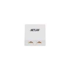 Розетка - RJ-45 5E двойная внешняя NETLAN EC-UWO-2-UD2-WT J203